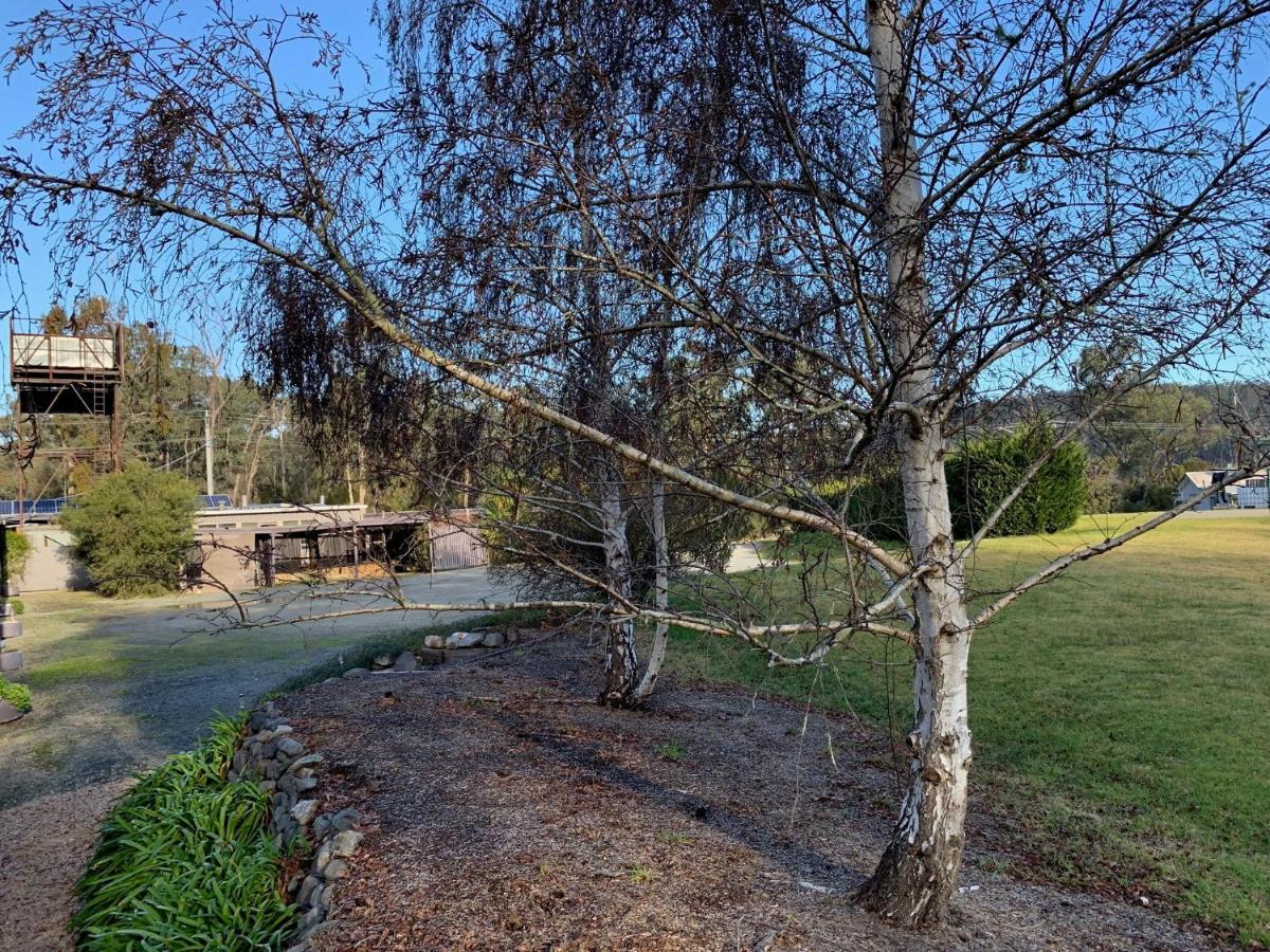 Nowa Nowa Motel - Budget Friendly Getaway In East Gippsland Exteriör bild